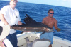 Texas Sailfish